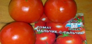 Beskrivelse af tomatsorten Dreng med en finger, funktioner i dyrkning og pleje