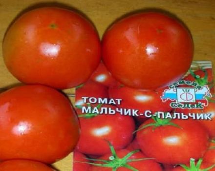 Description of the tomato variety Boy with a finger, features of cultivation and care