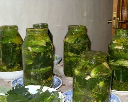 Receptes per a cogombres de cogombres amb fulles de roure per a l’hivern en gerres