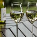 4 jednostavna domaća recepta za vino od zelenog grožđa