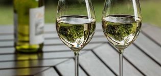 4 מתכוני יין ענבים ירוקים ביתיים קלים