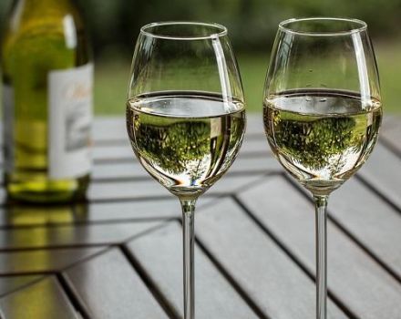 4 recetas fáciles de vino de uva verde casera