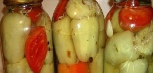 TOP 10 recepten voor het koken van paprika's gevuld met kool voor de winter