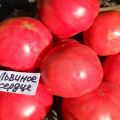 „Lionheart“ pomidorų veislės aprašymas, jo savybės ir produktyvumas