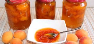 TOP 25 eenvoudige recepten voor het maken van abrikozenjam voor de winter