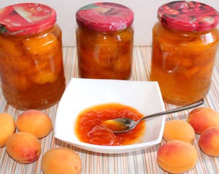 TOP 25 vienkāršās receptes aprikožu ievārījuma pagatavošanai ziemai