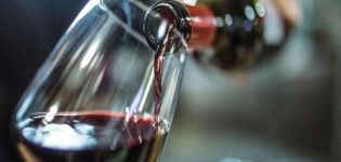 Qué aditivos se pueden utilizar para mejorar y corregir el sabor del vino casero, métodos probados