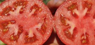 وصف صنف طماطم السوبرنوفا وخصائصه