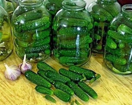 Recipes for canned villainous cucumbers with vodka for the winter