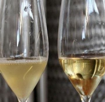 Come chiarificare il vino con la gelatina a casa, regole e proporzioni