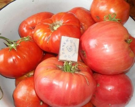 Beskrivning av tomatsorten Rosa socker, funktioner i odling och vård
