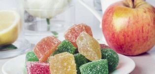 Ang nangungunang 9 mga recipe para sa paggawa ng apple marmalade para sa taglamig sa bahay