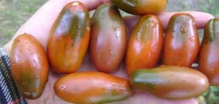 Descripción de la variedad de tomate Icicle black, características de cultivo.