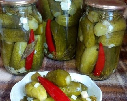 4 best step-by-step recipes for hot pickled cucumbers for the winter