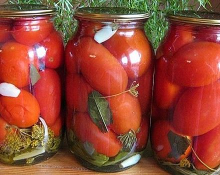 15 instant kiselih recepata od rajčice u 30 minuta