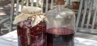 11 madaling mga recipe para sa paggawa ng cherry wine na hakbang-hakbang sa bahay