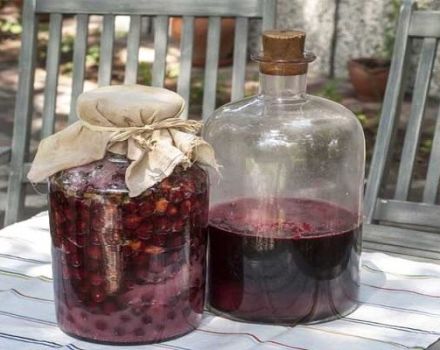 11 easy recipes for making cherry wine step by step at home