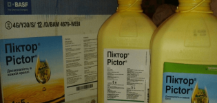 Instructions for use of the fungicide Pictor and consumption rates