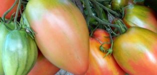 Χαρακτηριστικά και περιγραφή της ποικιλίας ντομάτας Podsinskoe θαύμα (Λιάνα), η απόδοσή της