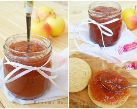 Step-by-step recipe for making apple jam in a slow cooker for the winter