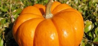 Description of varieties of large-fruited pumpkin Rossiyanka, Sweetie, Kroshka, 100-pound and others, their cultivation