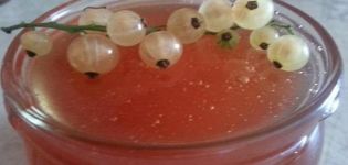 En simpel opskrift til fremstilling af hvid rips marmelade til vinteren Pyatiminutka