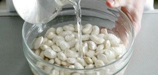 Paglalarawan ng mga varieties ng puting beans, kapaki-pakinabang at nakakapinsalang mga katangian, paglilinang