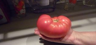Charakteristiky a opis odrody paradajok ruskej duše