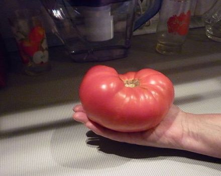 Charakterystyka i opis odmiany pomidorów Russian soul