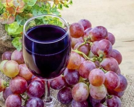 3 legjobb házi készítésű rózsa szőlőbor recept