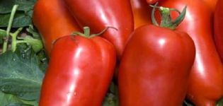 Mô tả về giống cà chua chuối Bonanza và đặc điểm của nó