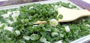 TOP 13 recetas sobre cómo cosechar cebollas verdes para el invierno
