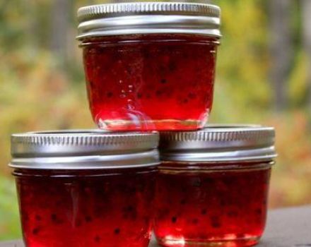 A simple recipe for making gooseberry jam with gelatin for the winter