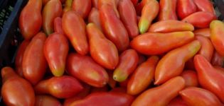 Kenmerken en beschrijving van de variëteit van tomaat Banaan-sinaasappel