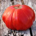 Beschrijving van de Siberische Trump-tomatensoort en zijn kenmerken