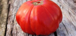 Beskrivelse af den sibirske Trump-tomatsort og dens egenskaber