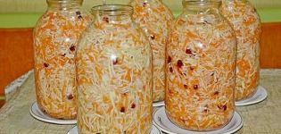 13 pinakamahusay na homemade sauerkraut recipe