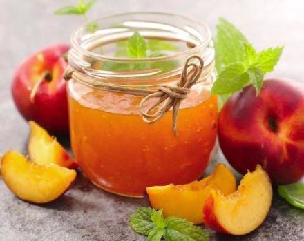 3 recipes for making instant peach jam for the winter