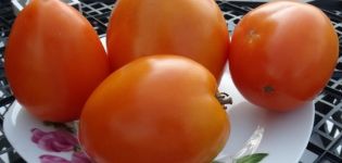 Productiviteit, kenmerken en beschrijving van de tomatensoort Marmelade