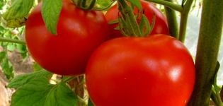 Description of the tomato variety Brother 2 f1, cultivation and yield