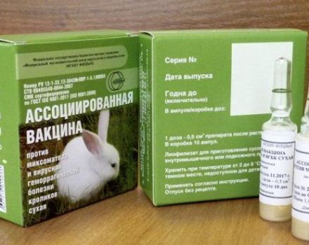 Pokyny týkajúce sa súvisiacej vakcíny pre králiky a spôsobu vakcinácie