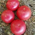 Eigenschaften und Beschreibung der Tomatensorte Himbeerring, deren Ertrag
