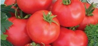 Cosa sono i pomodori standard, le migliori varietà per terreni aperti e serre