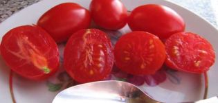 Beskrivelse af sortens tomat slikkepind, egenskaber ved dyrkning og udbytte