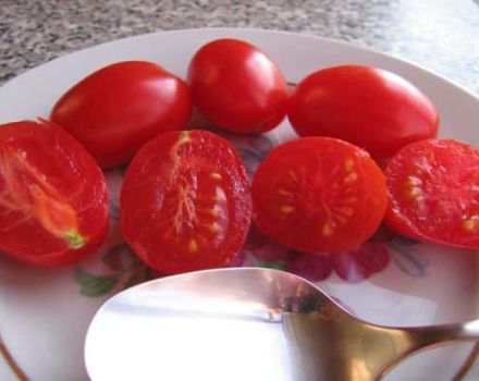 Opis odrody paradajka Lízatko, znaky pestovania a úrody