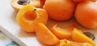 Wat zijn de gunstige eigenschappen en schade van abrikozen voor de gezondheid en hoe ze correct te gebruiken