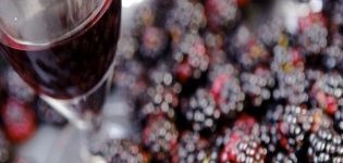 9 jednoduchých receptov na výrobu vína BlackBerry doma