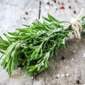 How you can keep rosemary fresh at home for the winter