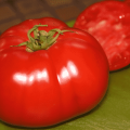 Descripción de la variedad de tomate Premier, características de cultivo y cuidado.