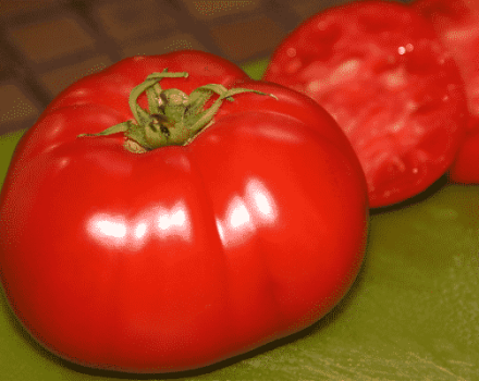 Beskrivning av Premier tomatsorten, funktioner för odling och vård